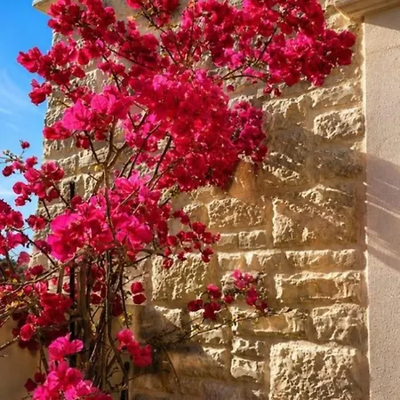 Mayiva Royal Hvar - Exclusive Old Town With Grand Terraces * Hvar Town